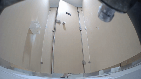 极品厕拍新流出各种黑丝白丝高跟呕吐美女如云 1-7完整原版29V/20.7G