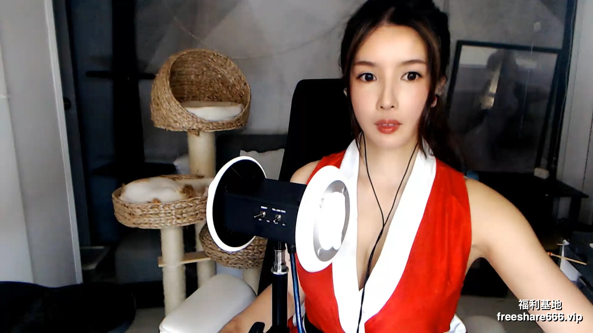ASMR大艺术嘉